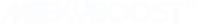 Website logo